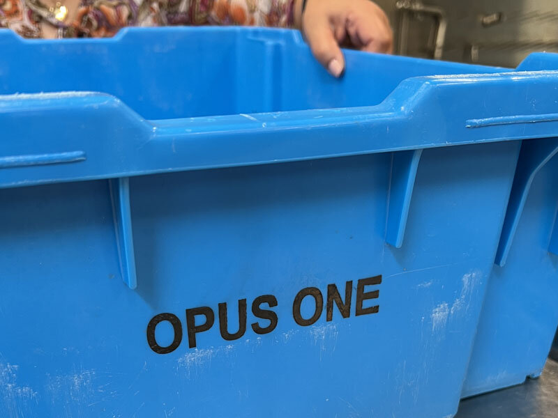 https://mansara.com/blog/044442.jpg