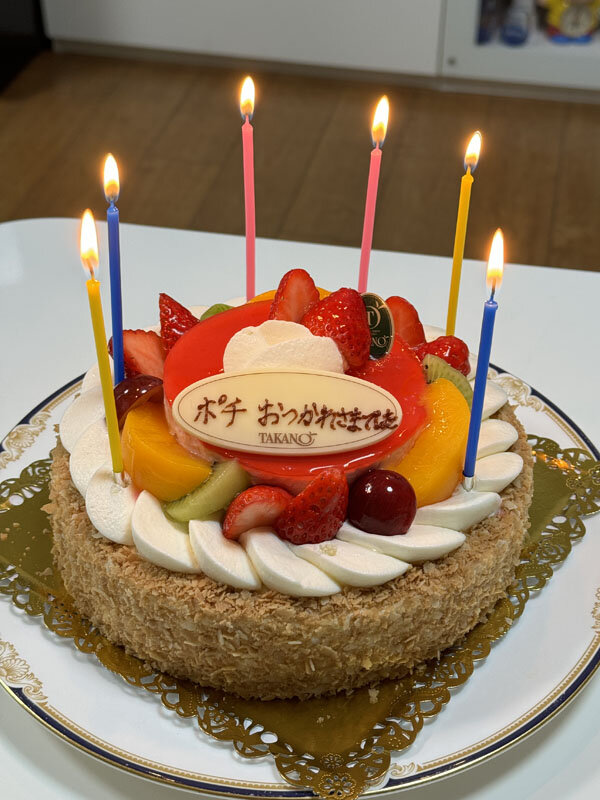 https://mansara.com/blog/044536.jpg