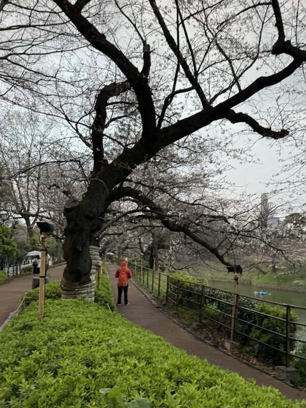 https://mansara.com/blog/044538.jpg