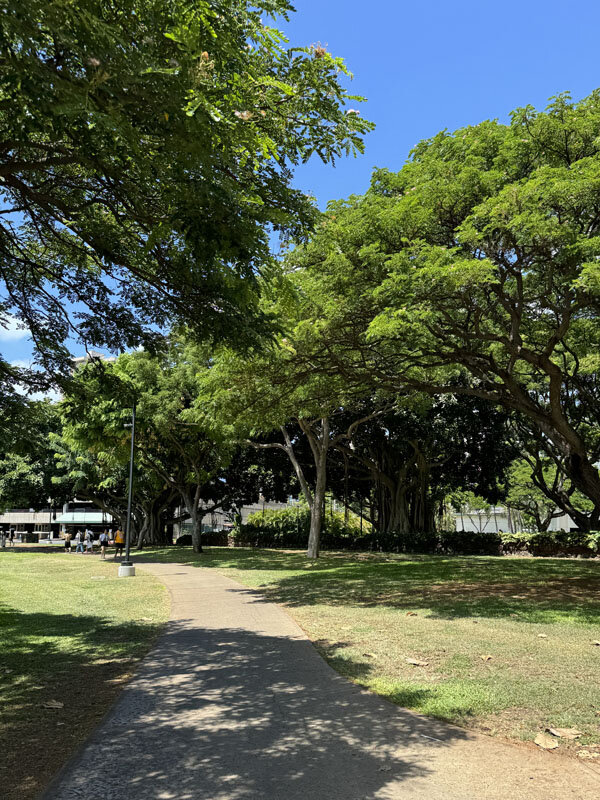 https://mansara.com/blog/046871.jpg