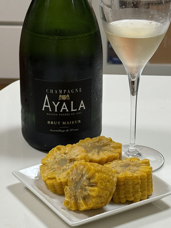 https://mansara.com/blog/047104.jpg