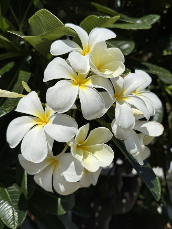 https://mansara.com/blog/047232.jpg