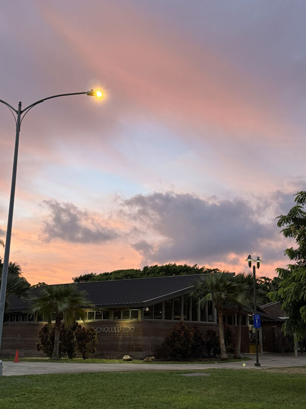 https://mansara.com/blog/047256.jpg