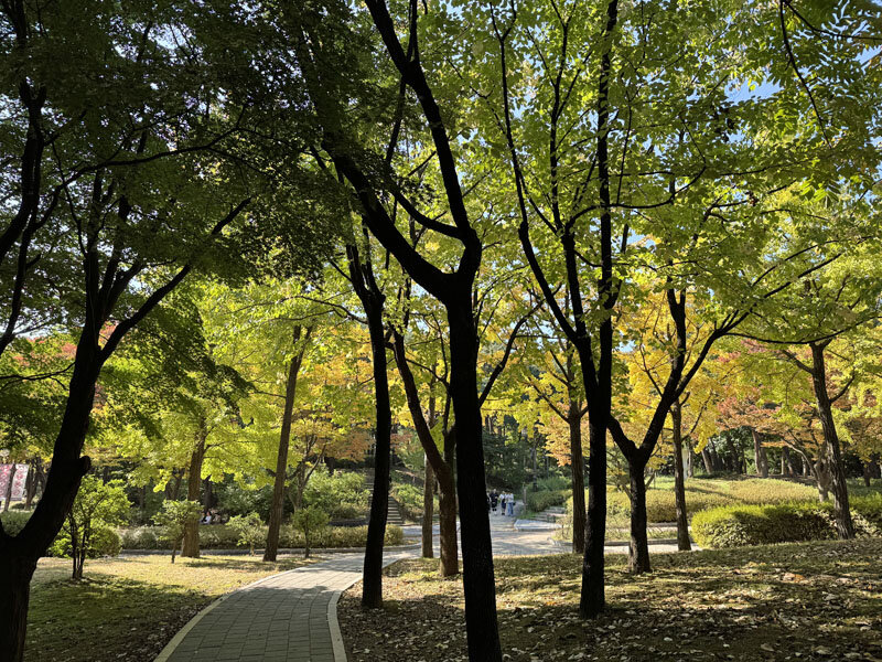 https://mansara.com/blog/047554.jpg