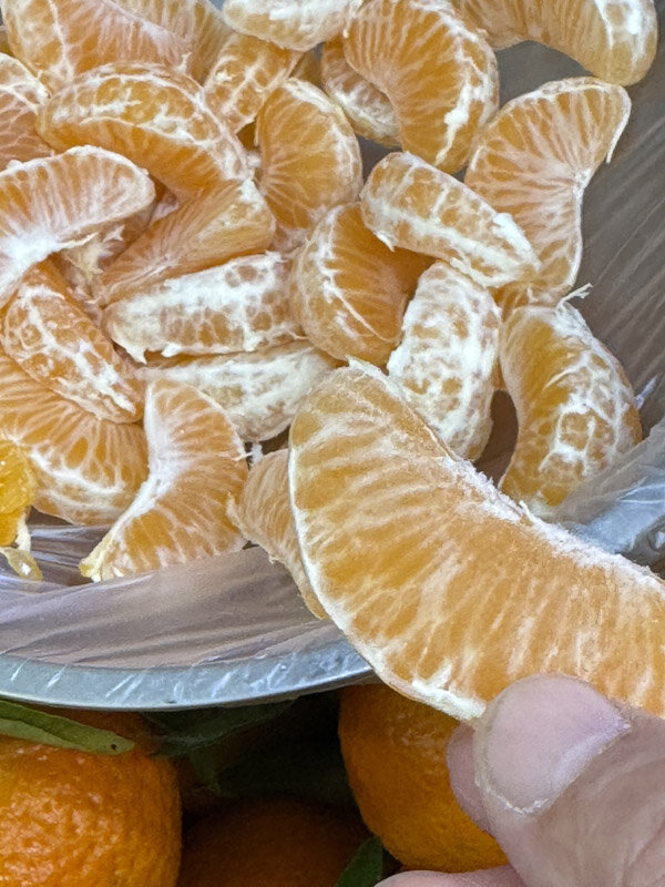 https://mansara.com/blog/048172.jpg