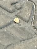 047066.jpg