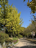047548.jpg